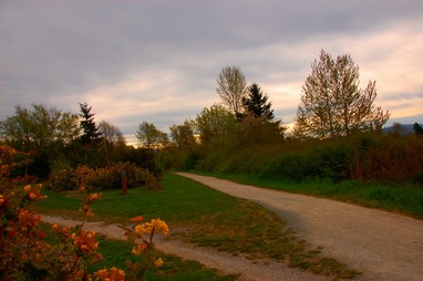 cloudy afternoon city trails