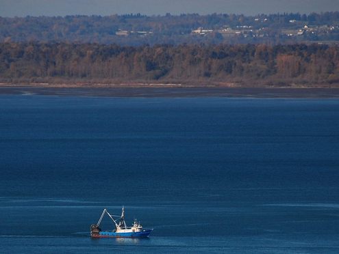 fishing boat on the sound