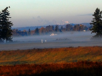 steam tower and morning ground fog